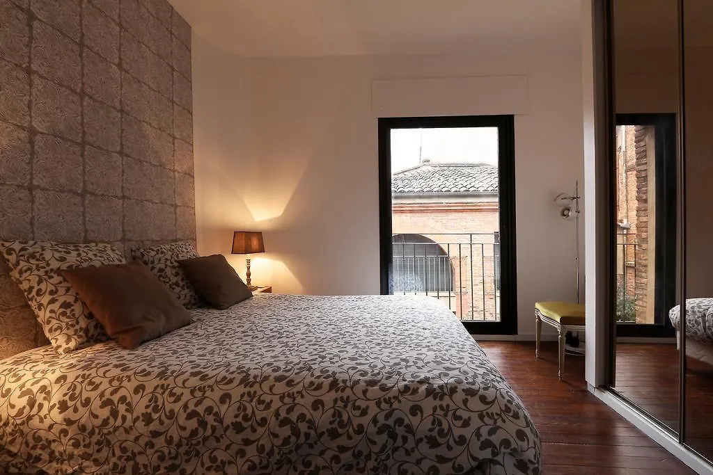 Le Duplex Apartment Toulouse 0*,